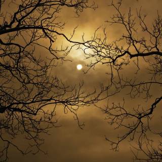 Fall Halloween computer wallpaper