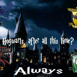After All This Time wallpaper