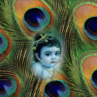 Krishna Jayanthi wallpaper