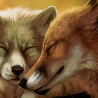 Fox and wolf wallpaper