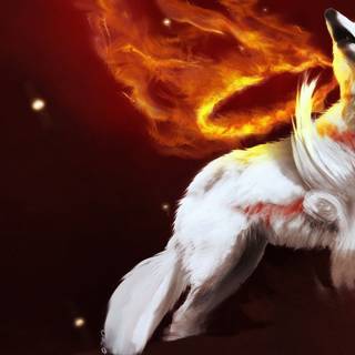 Fox and wolf wallpaper