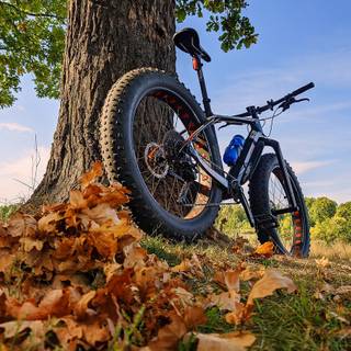 Autumn leaves bike house wallpaper