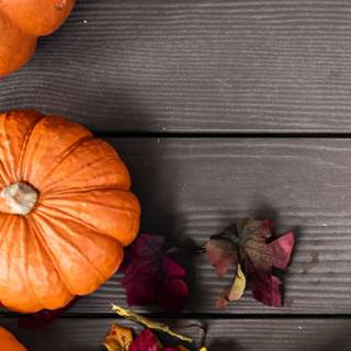 Pumpkin autumn iPhone wallpaper