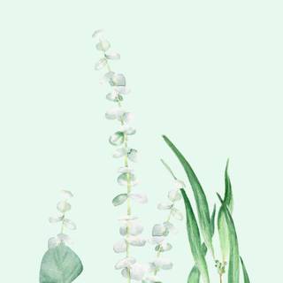 Plant cell wallpaper