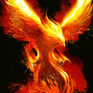 Cool flaming Phoenix wallpaper