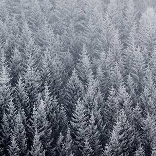 iOS desktop wallpaper