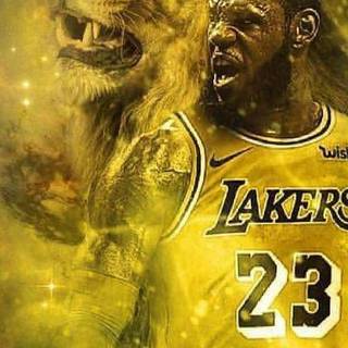 Lebron James meme wallpaper