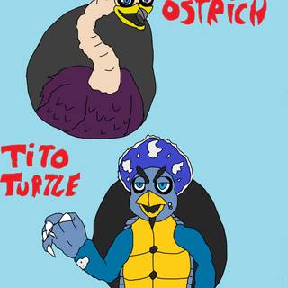 Tito Turtle wallpaper