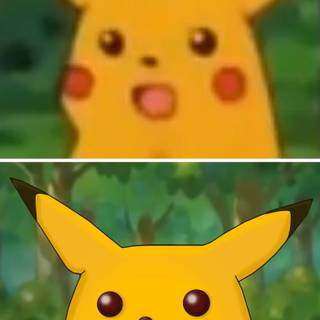 Pikachu memes wallpaper