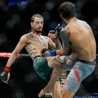 Sean O'Malley wallpaper