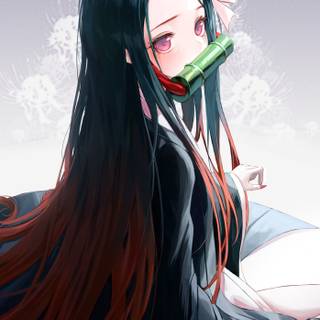Nezuko PFP wallpaper