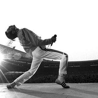 Queen Freddie Mercury wallpaper