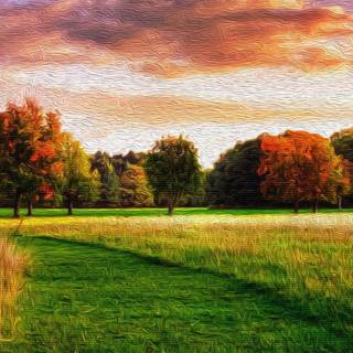 Summer autumn wallpaper