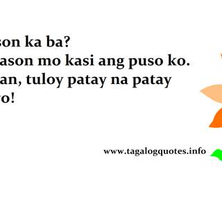 Funny pick up lines wallpaper