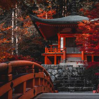 Autumn Kyoto wallpaper