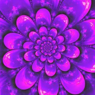 Mixed colors fractal flowers art wallpaper
