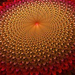 Mixed colors fractal flowers art wallpaper