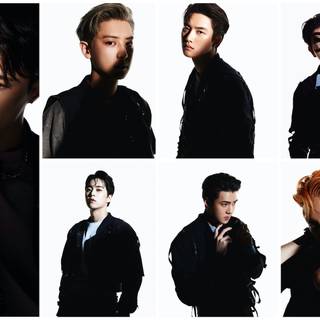 Exo Don't Fight The Feeling wallpaper