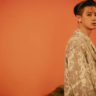 Exo Don't Fight The Feeling wallpaper