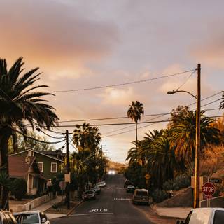 City street view wallpaper