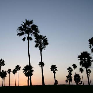 California desktop wallpaper