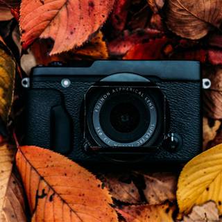 Aesthetic vintage autumn wallpaper