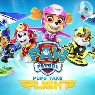 Paw Patrol Zuma wallpaper
