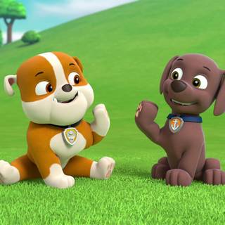 Paw Patrol Pups Save A Toof wallpaper