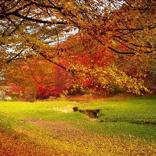 Pixel autumn wallpaper