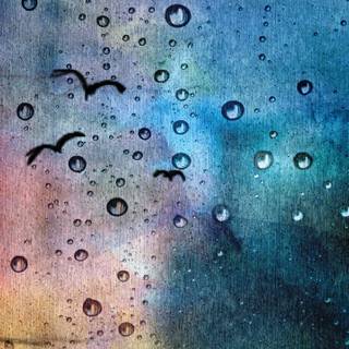 Autumn raining wallpaper