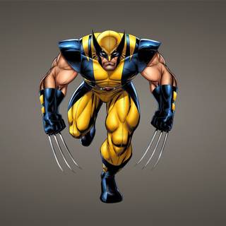 Wolverine Marvel Universe wallpaper