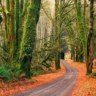 Autumn National Park wallpaper