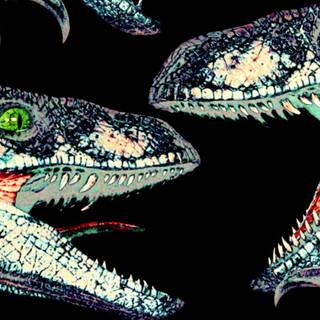 Jurassic Park Raptors wallpaper