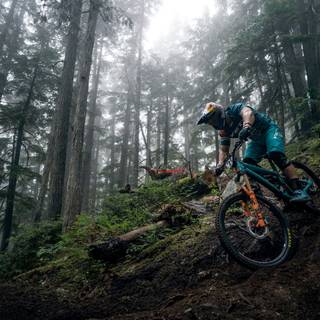 MTB bike wallpaper