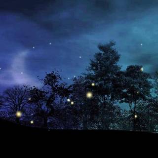 Good night summer wallpaper