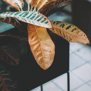 Cozy autumn 4K wallpaper