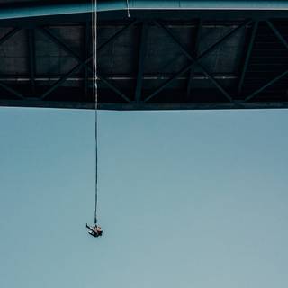 Bungee wallpaper