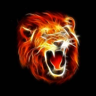 Lions open mouth wallpaper