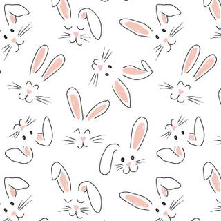 Rabbit aesthetic wallpaper