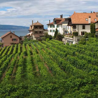 Assam landscape wallpaper