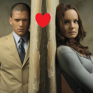 Sara Tancredi wallpaper