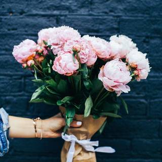 Women with rose flower wallpaper