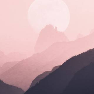 Pink computer HD wallpaper