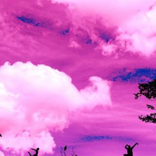 Pink computer HD wallpaper