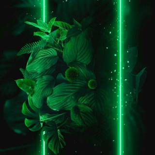 Green aesthetic neon wallpaper
