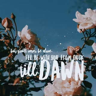 Zayn Malik quotes lyrics wallpaper