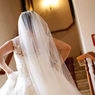 Wedding dresses with veils wallpaper