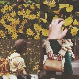 Green and yellow aesthetic wallpaper