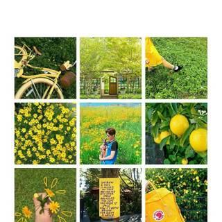 Green and yellow aesthetic wallpaper