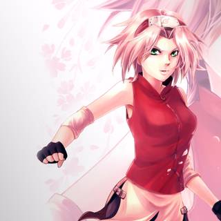 Sakura Sasuke PC wallpaper